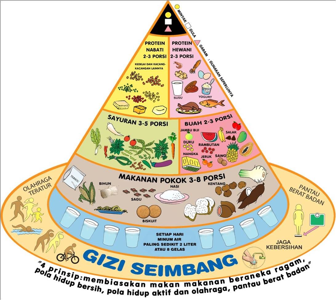 Pentingnya Asupan Gizi: Desa Senamat Memberikan Edukasi tentang Pola Makan Seimbang