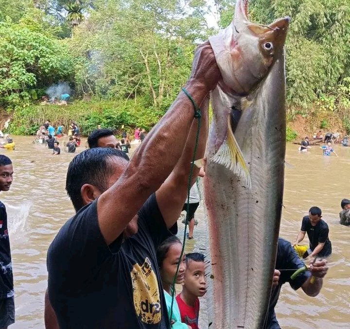 PEMBUKAAN LUBUK LARANGAN GANDENG DUO KAMPUNG PASAR DUSUN SENAMAT KECAMATAN PELEPAT KABUPATEN BUNGO