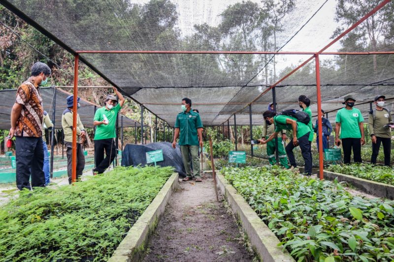 Pelatihan Budidaya: Desa Senamat Wujudkan Peternak Lele Profesional