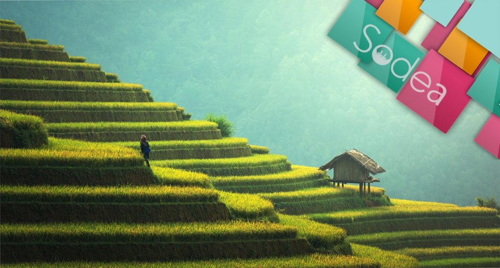 Desa Pintar Berbasis Teknologi: Mewujudkan Masyarakat Desa Senamat yang Maju dan Berdaya Saing