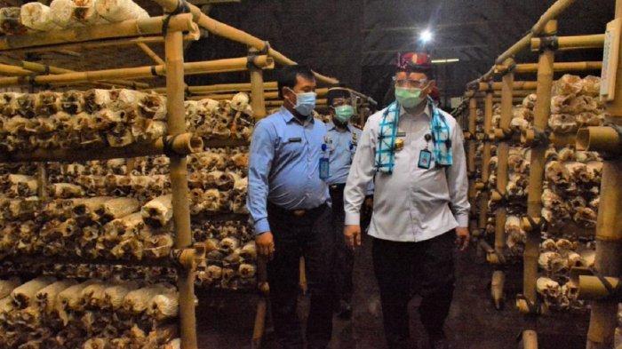 Kelas Budidaya Jamur Tiram: Desa Senamat Bekali Warga Pengetahuan dan Keterampilan