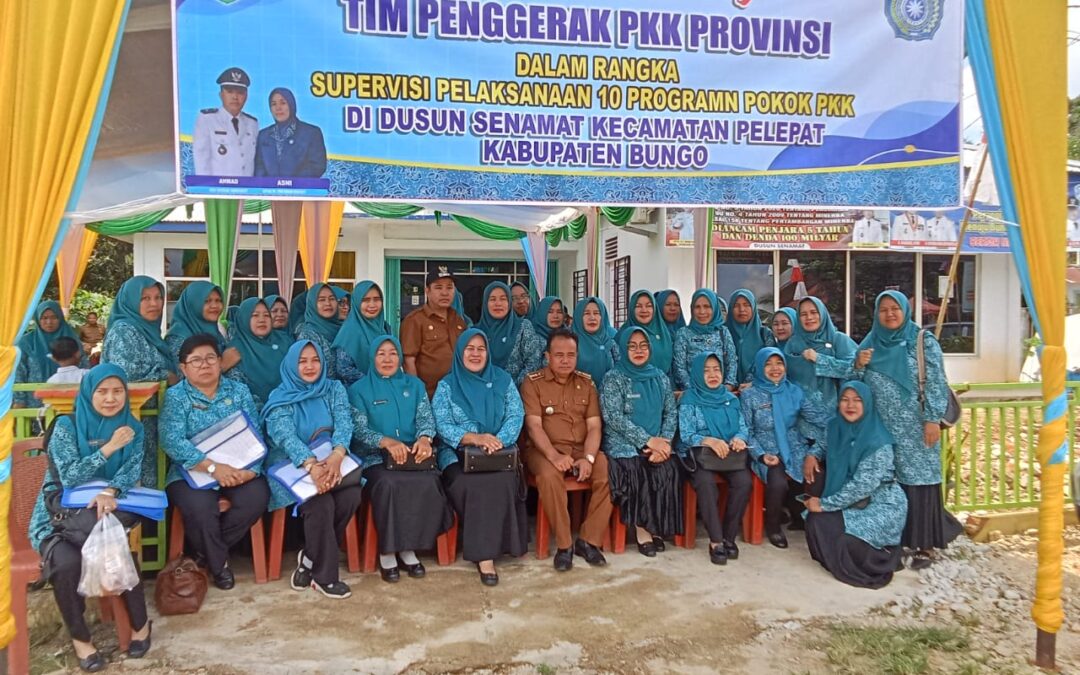TIM PENGGERAK PKK PROVINSI JAMBI DALAM RANGKA SUPERVISI PELAKSANAAN 10 PROGRAM POKOK PKK DIDUSUN SENAMAT.
