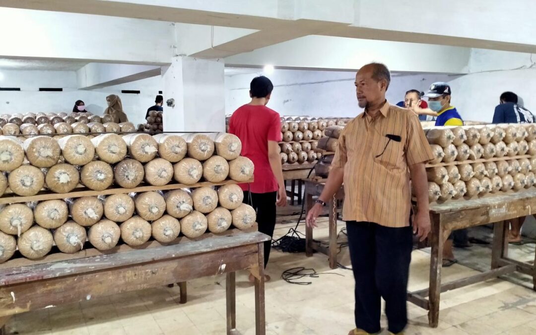 Mengembangkan Klaster Jamur: Desa Senamat Membangun Jaringan Usaha Jamur Tiram Bersama