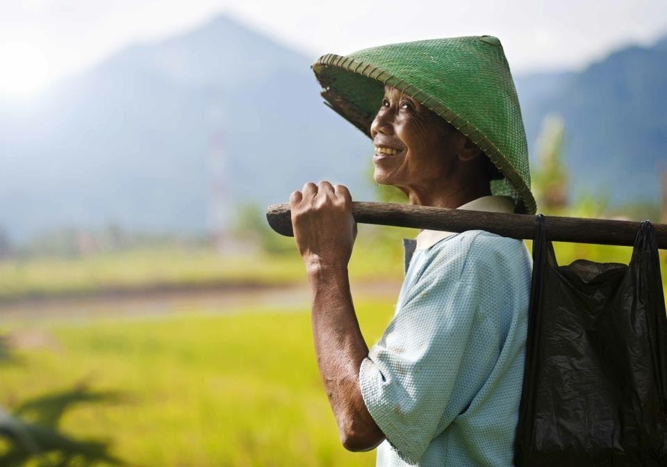 Rahasia Sukses Petani Durian: Desa Senamat Bagikan Tips Pembibitan Unggulan