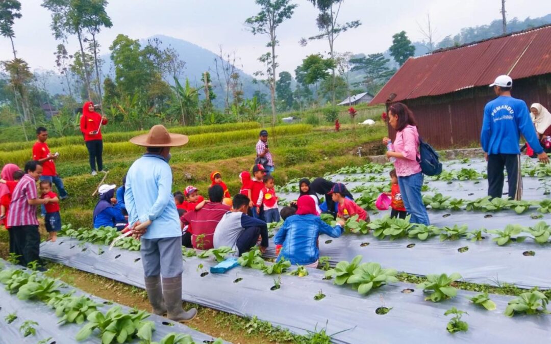 Agrowisata Desa Senamat: Jelajahi Keindahan dan Karakter Pertanian Desa