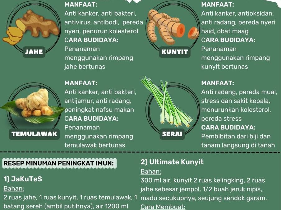 Penggunaan Santan Kelapa sebagai Tanaman Obat: Edukasi Sehat di Desa Senamat