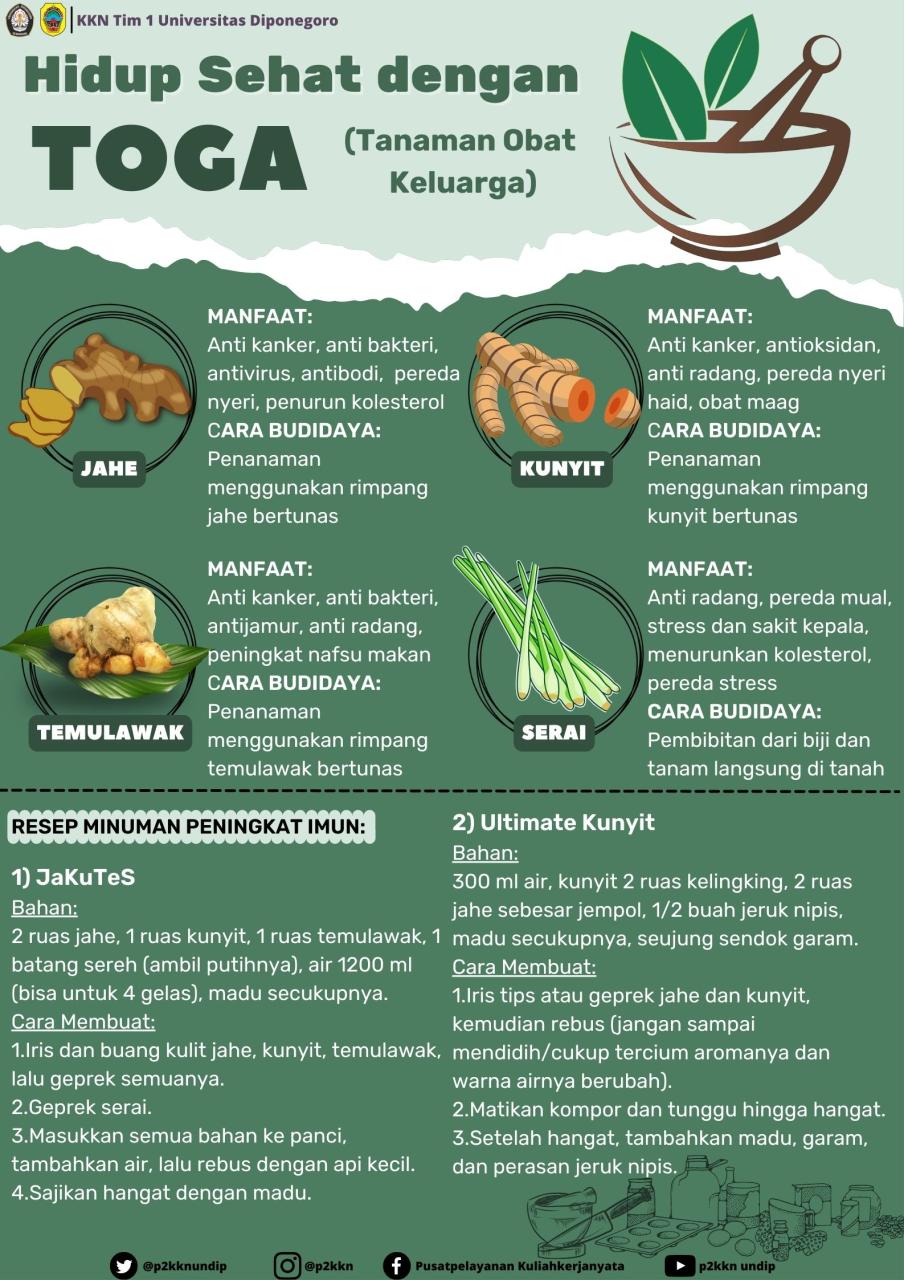 Penggunaan Santan Kelapa sebagai Tanaman Obat: Edukasi Sehat di Desa Senamat