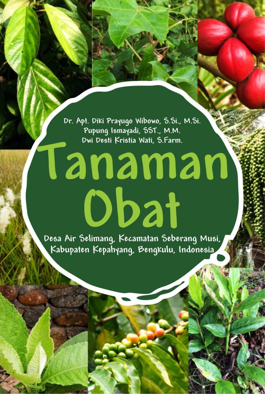 Pelatihan Penggunaan Tanaman Obat: Desa Senamat Mengajarkan Pemahaman yang Benar dalam Pengobatan Tradisional