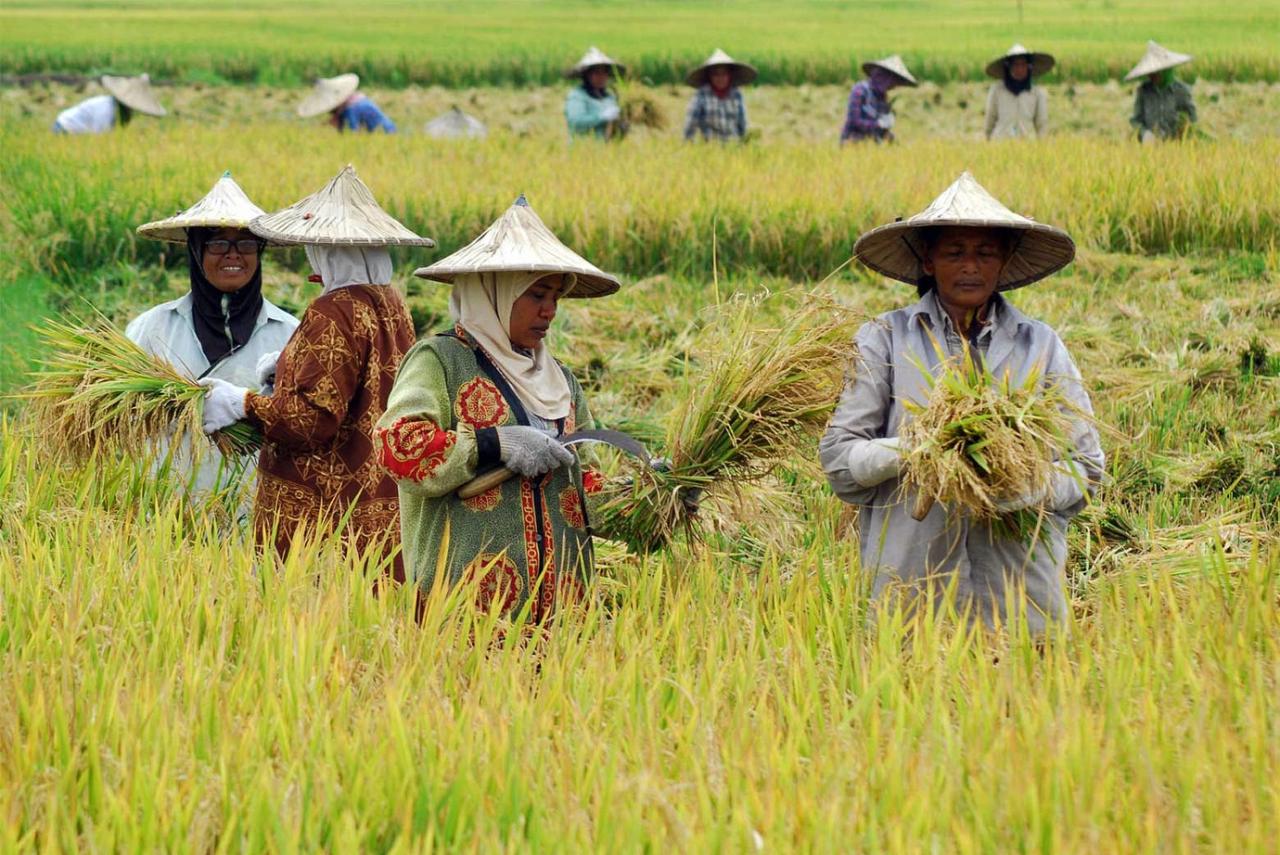 Pemberdayaan Petani: Pelatihan dan Pendampingan dalam Pertanian yang Berkelanjutan