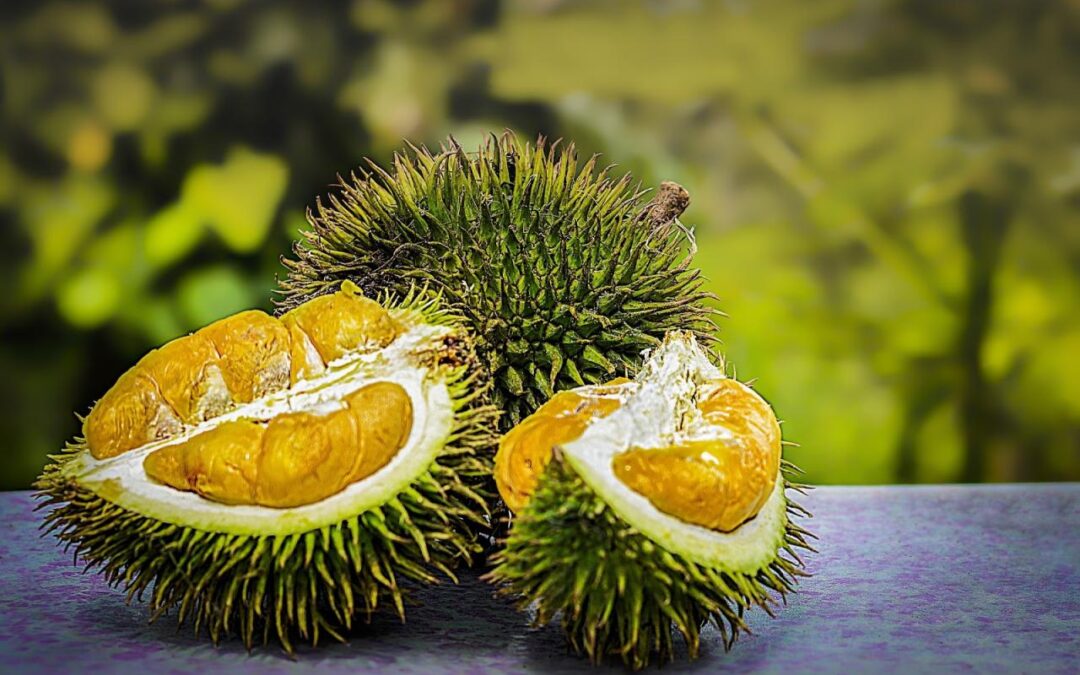 Kelezatan Durian Desa Senamat: Membudidayakan Buah Durian Berkualitas Tinggi