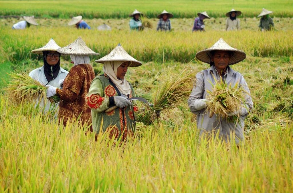 Desa Senamat Sejahtera: Aset Desa sebagai Pilar Kesejahteraan Bersama