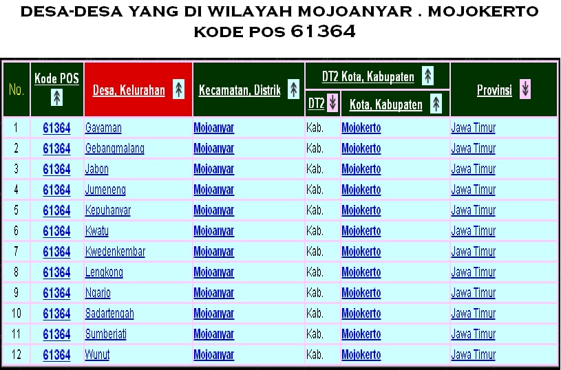 Literasi Digital: Kunci bagi Warga Desa Senamat dalam Memahami Teknologi